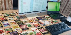Photo of seed packages on a table with a spreadsheet on a computer screen