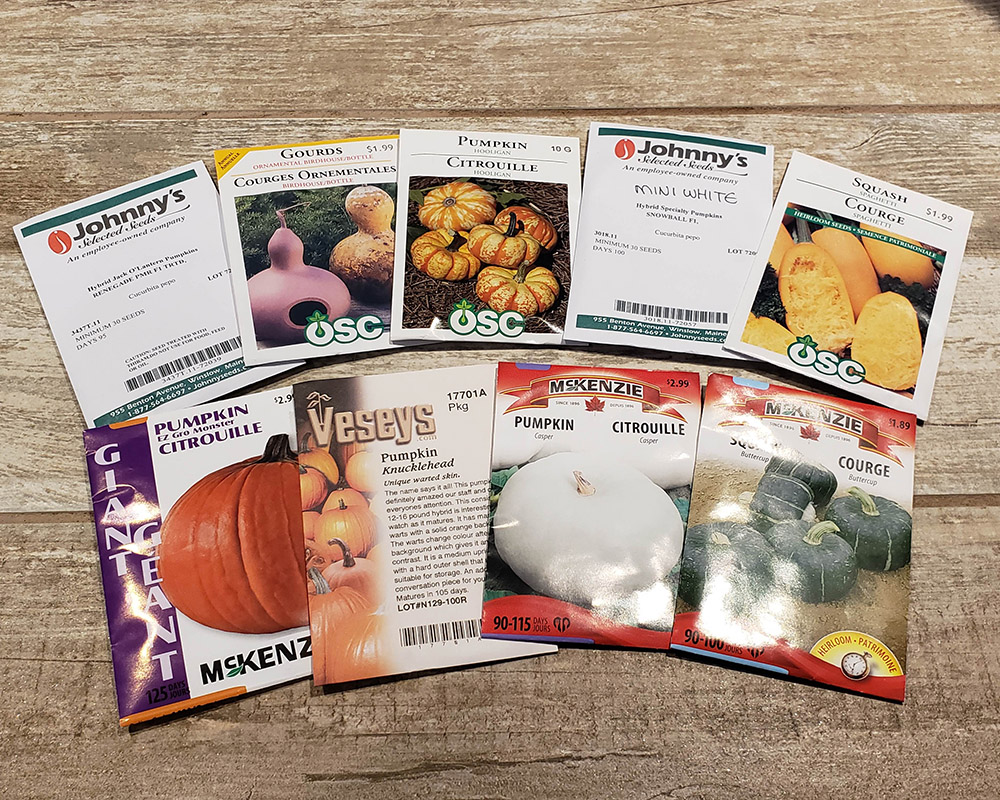 Photo of several seed packages for pumpkins and squash