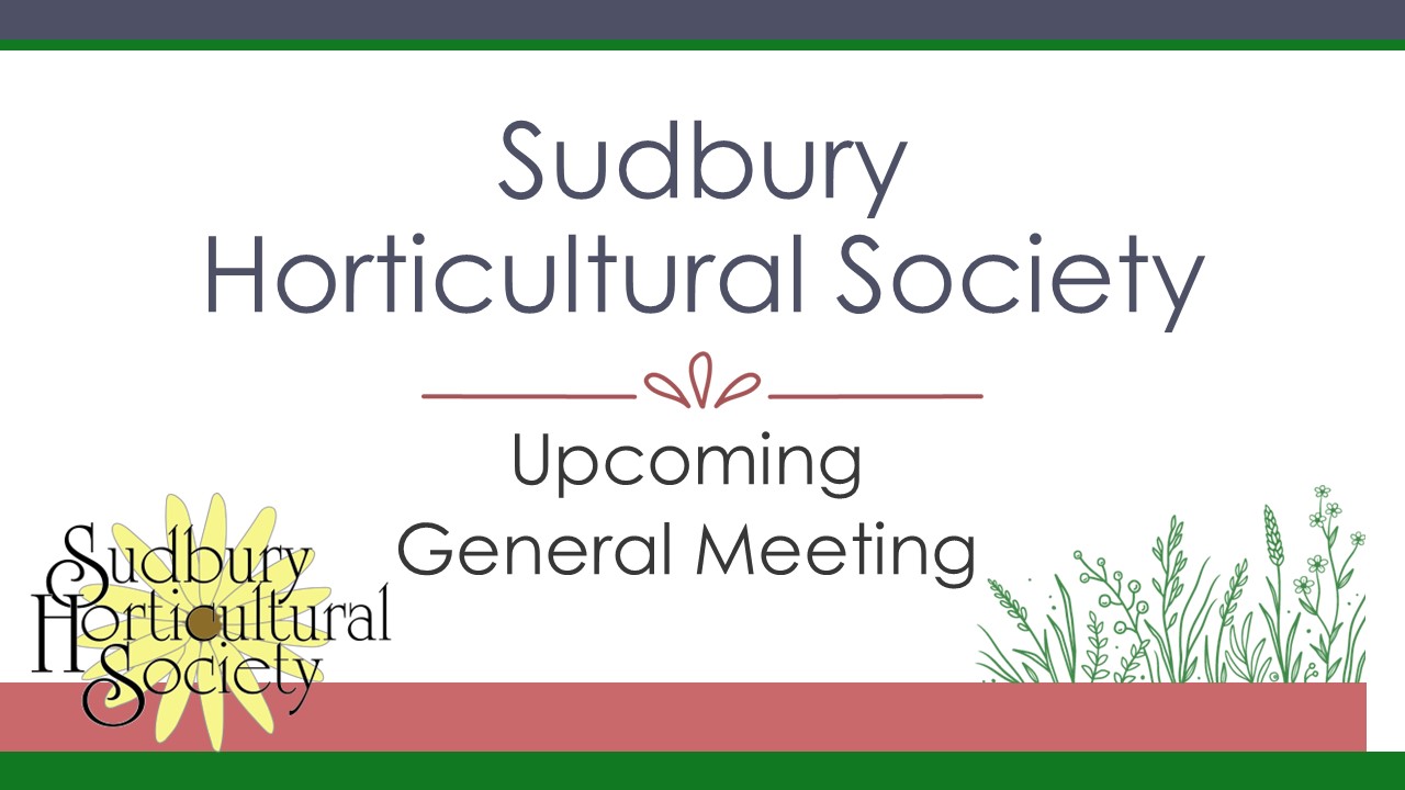 Upcoming Society General Meeting