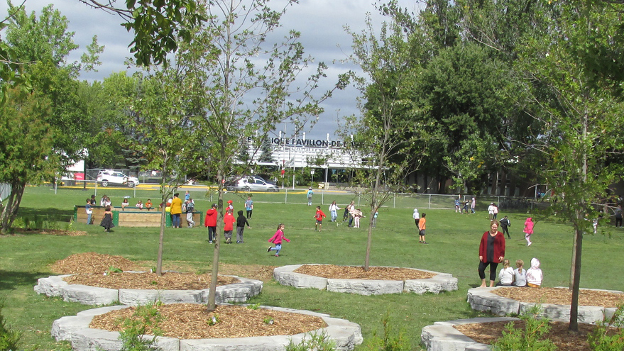 Photo of a schoolyard