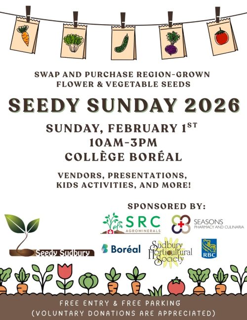 Seedy Sunday Poster